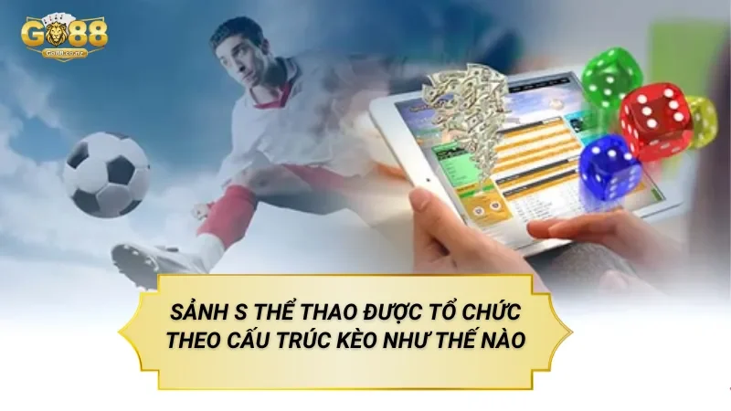 Sảnh S Thể Thao – Nền Tảng Cá Cược Với Nhiều Loại Kèo Sảnh S Thể Thao Được Tổ Chức Theo Cấu Trúc Kèo Như Thế Nào