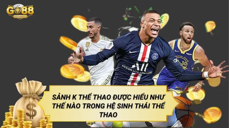 Sảnh K Thể Thao – Nền Tảng Cá Cược Thể Thao Trực Tuyến Sảnh K Thể Thao Được Hiểu Như Thế Nào Trong Hệ Sinh Thái Thể Thao